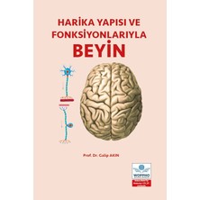 Harika Yapısı ve Fonksiyonlarıyla Beyin