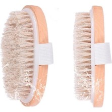 Parlak ve Pürüzsüz Görünüm Sağlayan %100 Doğal At Kılı Selülit Fırçası (Oval)