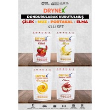 Drynex 4’lü Meyve Seti (Çilek, Muz, Portakal, Elma) | Şekersiz | Sporcu Atıştırmalık