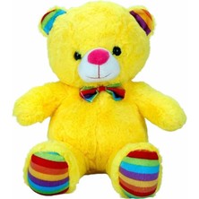 S00002962 Eluş Ayı Renkli Kurdelalı 30CM.6R. -Sun
