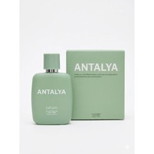 BRAVASİP Defacto Kadın Parfüm 50 ml Antalya Odunsu Koku Kalıcı Edp Kadın Parfümü