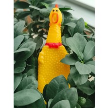 Uslucan Alışveriş Büyük Petzoom Pet Park Köpek Tuvalet Eğitim Seti – Evcil Dostunuz Için Hijyenik Çözüm 1 Adet Çığlık Atan Ördek 1 Adet Yıkanabilir Rulo Hediye