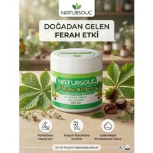 Natursoul At Kestanesi Balsamı 500ML