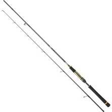 Daiwa Crosscast Df 274CM 14-42GR 2 Pc Spin Kamışı