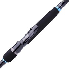 Daiwa Caldia Seabass 244CM 7-28GR 2 Pc Spin Kamışı