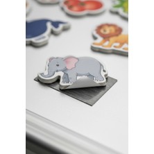 Eco Lounge Manyetik Mıknatıslı Eğitici Oyuncak Seti 56 Parça Hayvanlar Sebze Meyveler