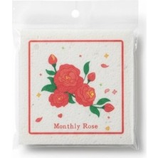 Eco Lounge Suda Büyüyen Sünger