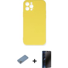 Cepte Toptan iPhone 12 Pro Max Ahenk Serisi - Siyah 3D Antistatik Hayalet Cam Ekran Koruyucu + Gümüş Shine Kamera Lens Koruma Cam
