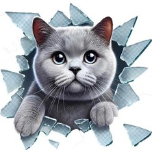 Fulcar British Araç Stickerı