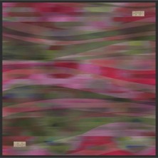 La Boutique Güz Yaz Serinliği Eşarp - 90 x 90 -2619-04