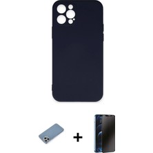 Cepte Toptan iPhone 12 Pro Max Ahenk Serisi - Siyah 3D Antistatik Hayalet Cam Ekran Koruyucu + Gümüş Shine Kamera Lens Koruma Cam