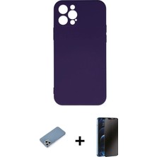Cepte Toptan iPhone 12 Pro Max Ahenk Serisi - Siyah 3D Antistatik Hayalet Cam Ekran Koruyucu + Gümüş Shine Kamera Lens Koruma Cam