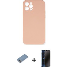 Cepte Toptan iPhone 12 Pro Max Ahenk Serisi - Siyah 3D Antistatik Hayalet Cam Ekran Koruyucu + Gümüş Shine Kamera Lens Koruma Cam