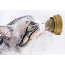 Eco Lounge Kedi Otu Oyun Topu