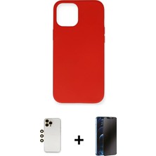 Cepte Toptan iPhone 12 Pro Max Ahenk Serisi - Siyah 3D Antistatik Hayalet Cam Ekran Koruyucu + Gold Shine Kamera Lens