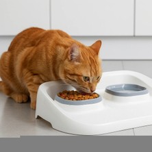 Eco Lounge Mikopet Gri 2'si 1 Arada Mama ve Su Kabı