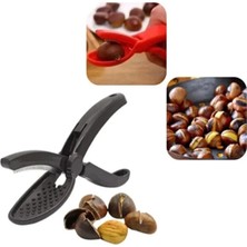 Eco Lounge Plastik Kestane Çizeceği