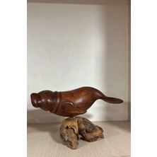Miamantra Ahşap Fok Balığı Standlı (30 Cm)