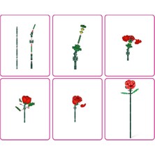 Eco Lounge 5UC00000 Max Gül Sürprizi 247 Parça