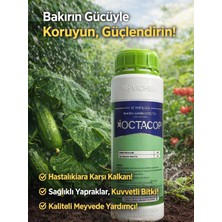 Octacop Sıvı Bakır 1litre