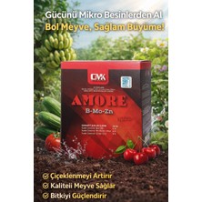CO Amore B-Mo-Zn 250GR