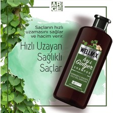 Wellmax Sarmaşık & Zencefil Özlü Şampuan 500 ml – Saç Uzamasını Destekleyen Güçlendirici Saç Bakım Şampuanı