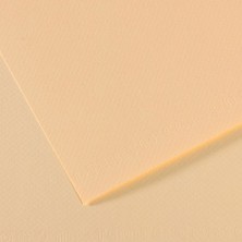Kitabevimden Canson Fon Kartonu (Dokulu) Mı-Teıntes 25 Li 50X65 160 gr 11 Ylw 31032S092-10-LI-PKT
