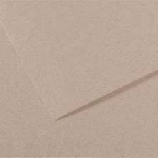 Kitabevimden Canson Fon Kartonu (Dokulu) Mı-Teıntes Sh Canmt 50X65 160 gr Grey 426