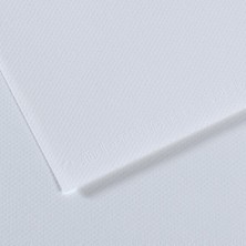 Kitabevimden Canson Fon Kartonu (Dokulu) Mı-Teıntes Sh Canmt 50X65 160 gr Blu  (10 LU)181