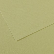 Kitabevimden Canson Fon Kartonu (Dokulu) Mı-Teıntes Sh Canmt 50X65 160 gr Grn 480-10-LU-PKT