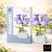 Star Cast Mor Orkide Dekoratif Yapı Blok Çiçek – Saksı Çiçek Hediye Seti