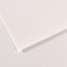 Kitabevimden Canson Fon Kartonu (Dokulu) Mı-Teıntes 50X65 160 gr Whıt 335-10-LI-PKT