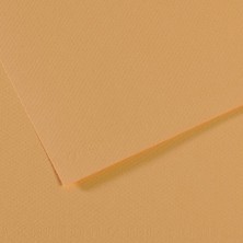 Kitabevimden Canson Fon Kartonu (Dokulu) Mı-Teıntes 50X65 160 gr Kahverenk 340-10-LI-PKT