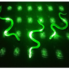 Elektronikçim Şaka Yılan ve Kırkayak Karışık 36 Adet