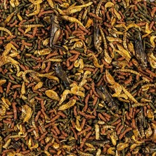 Tropical Soft Line Carnivore 25 Gram Açık