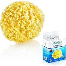 Urfakent Doğal Deniz Süngeri 163