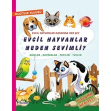Senka Evcil Hayvanlar Neden Sevimli?