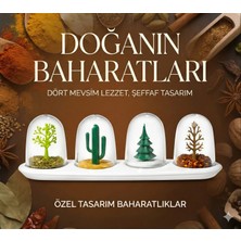Uslucan Alışveriş Seasoning Shakers Dört Mevsim Baharatlık