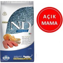 N&D Açık Nd Az Tahıllı Kısır Somonlu Kedi Maması 1 kg 031