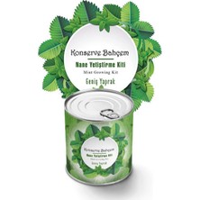 Uravas Store® Konserve Bahçem Nane Yetiştirme Kiti