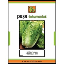 Paşa Marul Yedikule 10 Gr