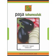 Paşa Patlıcan Topan 10 Gr