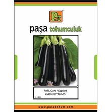 Paşa Patlıcan Aydın Siyahı 10 Gr