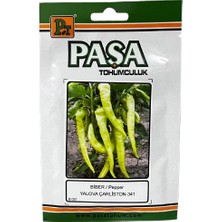 Paşa Yalova Çarliston 10 Gr