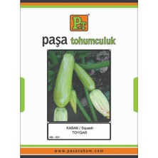 Paşa Kabak Tohumu 25 Gr