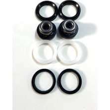 Ferrino Basınçlı İlaçlama Motoru Pompa İçi Conta Seti TF900 768 TU26 25lt