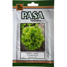 Paşa Karadeniz Kıvırcık 10 Gr