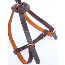 Nunbell Deri Köpek Göğüs Tasması Büyük Model H3