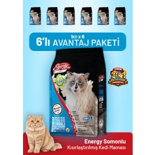 Cat food energy Somonlu Kısırlaştırılmış Kedi Maması 1 kg - 6 Adet