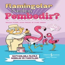K-Yonlineticaretdy Flamingolar Neden Pembedir?